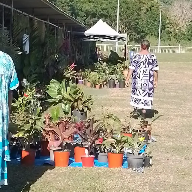 Mini-foire agricole_Ponerihouen