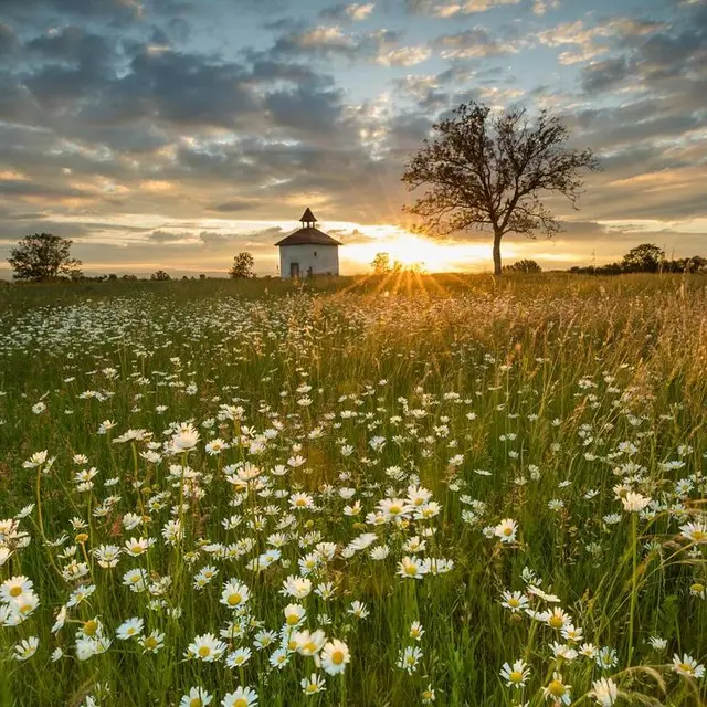 La Côte Rouge_Saint-Laure