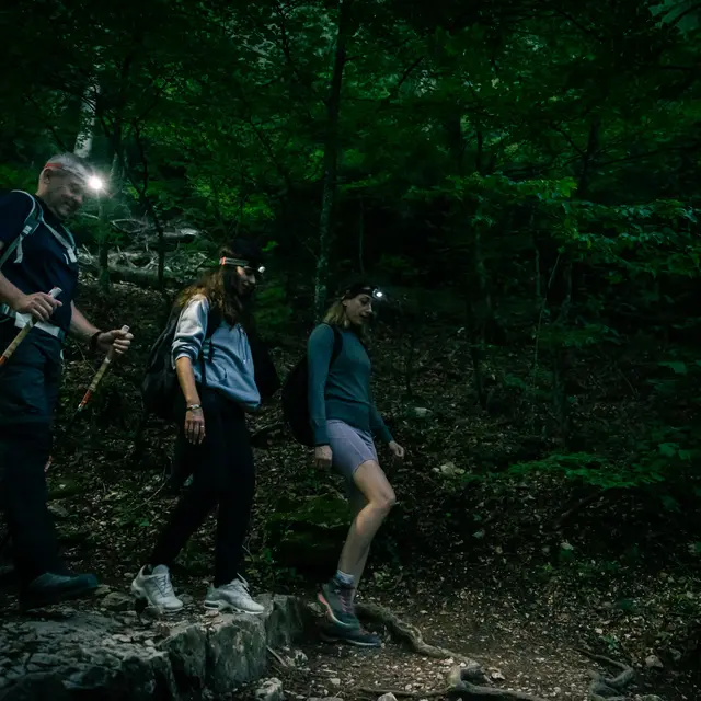 #RDVduParc • Découverte insolite de la hêtraie relique_Plan-d'Aups-Sainte-Baume