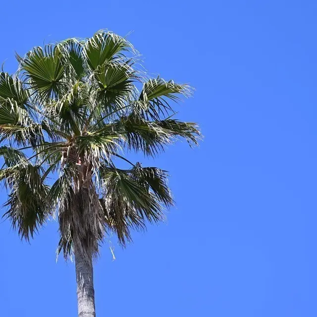Parc Sainte-Musse_Toulon