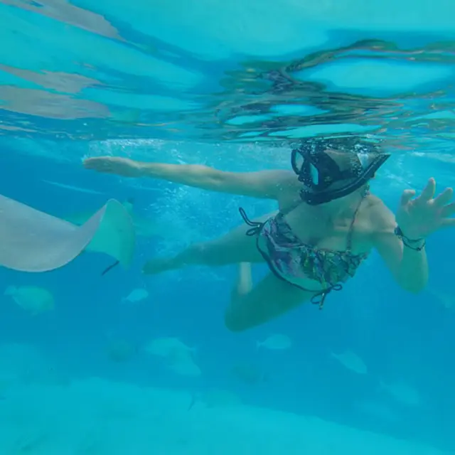Ariki Tour Moorea - Tahiti Tourisme