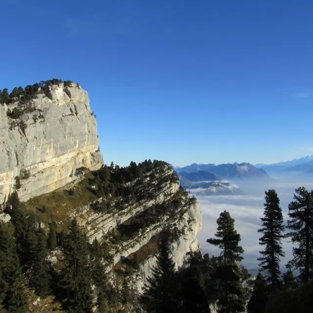 Encadrement sur les sentiers du vertige : sangle de Belles Ombres_Saint-Pierre-d'Entremont