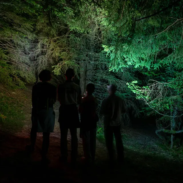 Randonnée nocturne grande Odyssee_La Féclaz