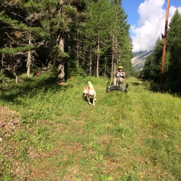 Randonnée avec un chien