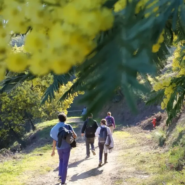 Balade nature avec Denis HUIN_Cavalaire-sur-Mer
