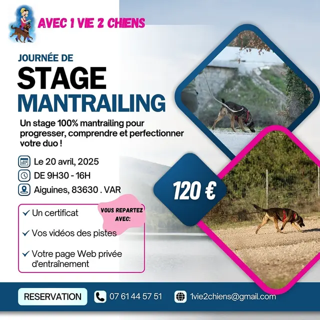 1 vie 2 chiens