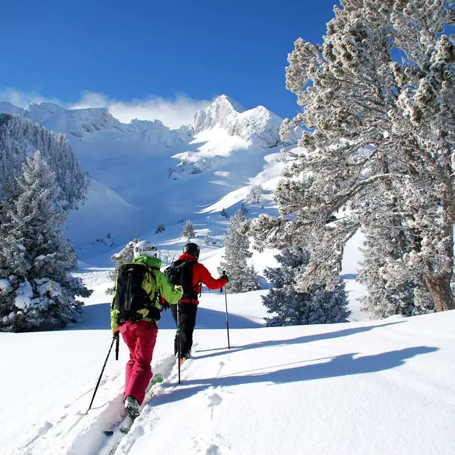 Ski de randonnée: Initiation_Faverges-Seythenex