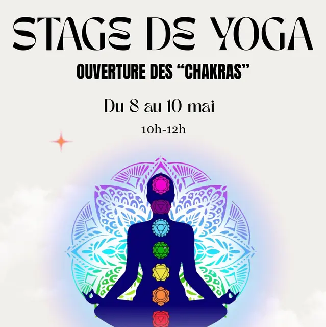 Stage de yoga « ouverture des Chakras »_Istres