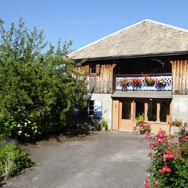 Appartement - 54m² - n°215