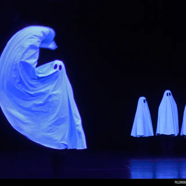 Spectacle : Pillowgraphies_Chambéry