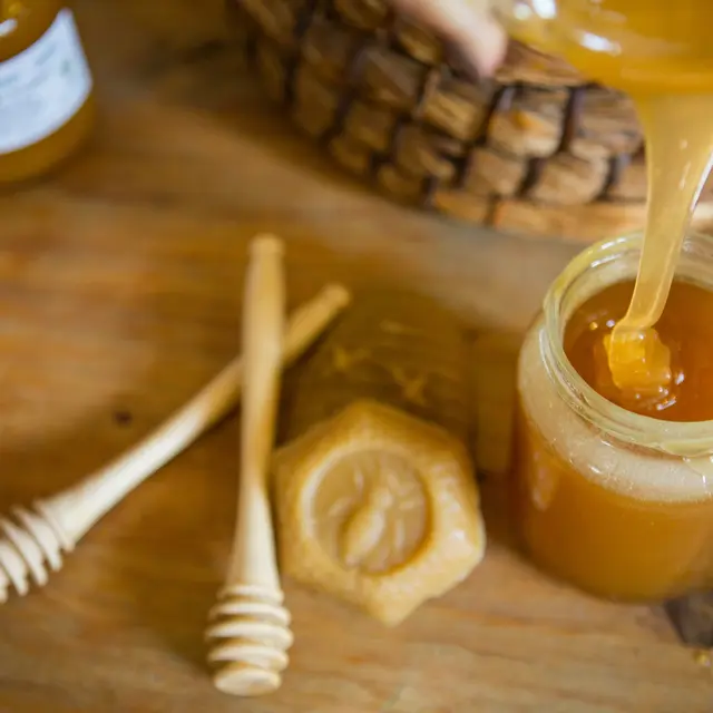 Atelier à la découverte du monde des abeilles