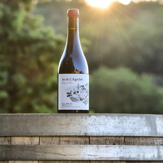 Jas de l'Agachet_Simiane-la-Rotonde