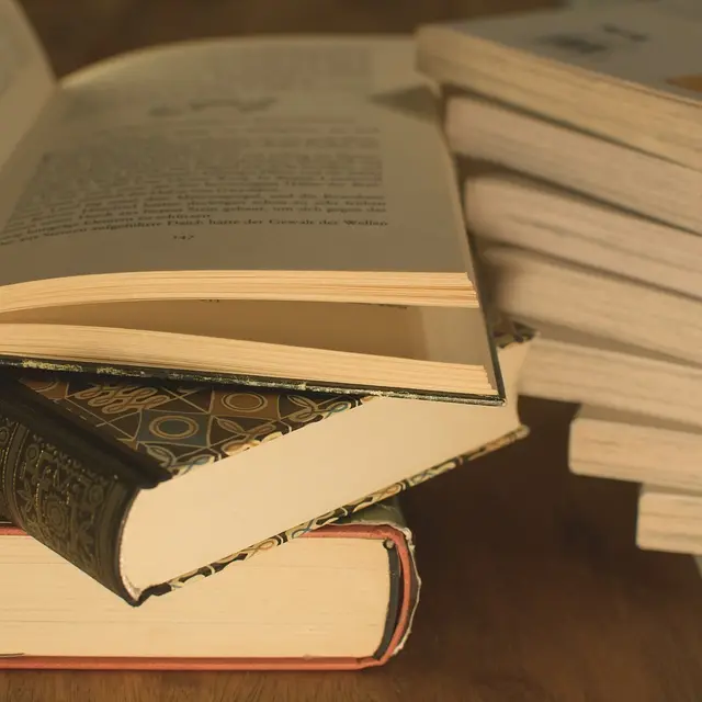 Bourse aux livres_Seyne