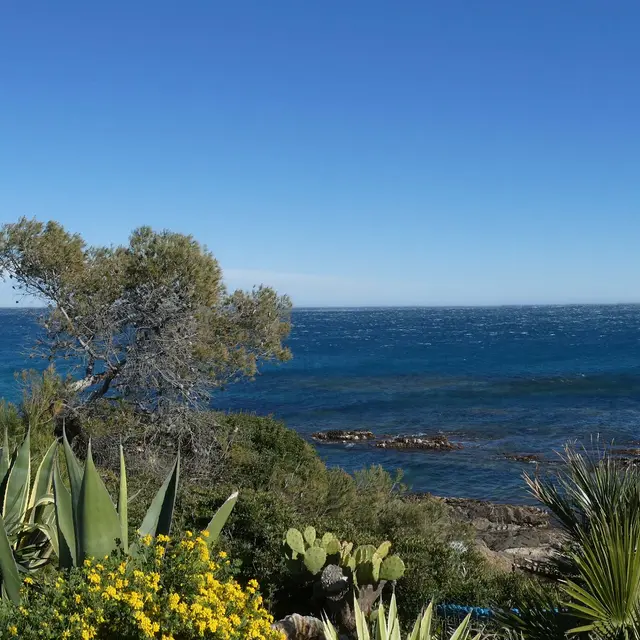 Le Fort de la Tourterelle