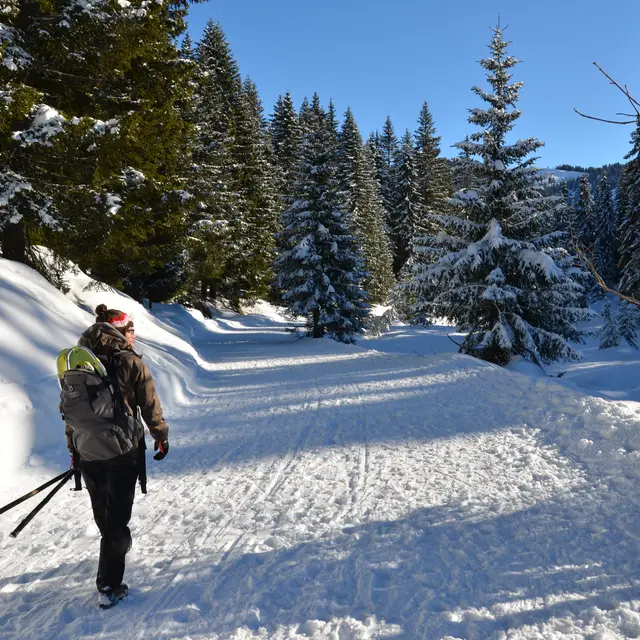 Liaison Les Saisies