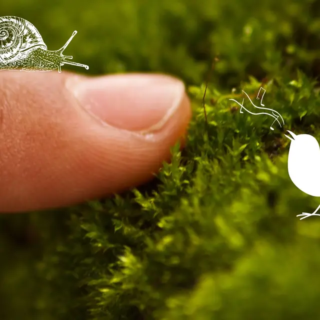 Sentir et toucher le vivant au Bout du Lac l Renc'Arts du Parc_Doussard