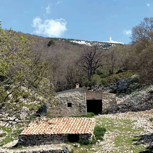 Cartonivo: Randonnée Tour des Jas_Bédoin