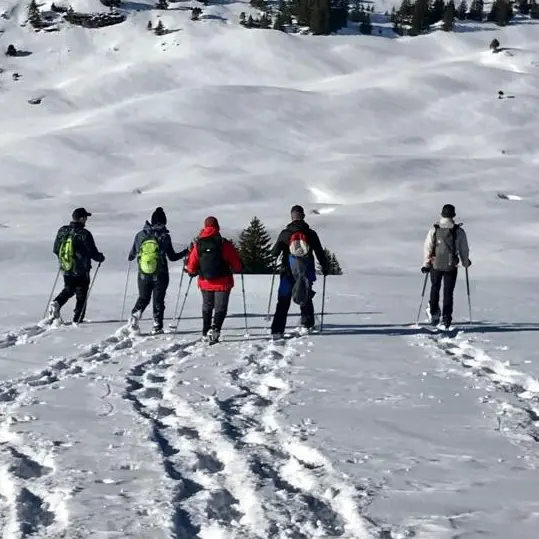 Trace & Montagne_Bisanne 1500