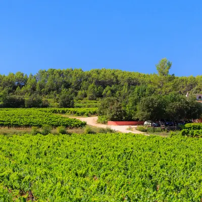 Château Carpe Diem - Cotignac