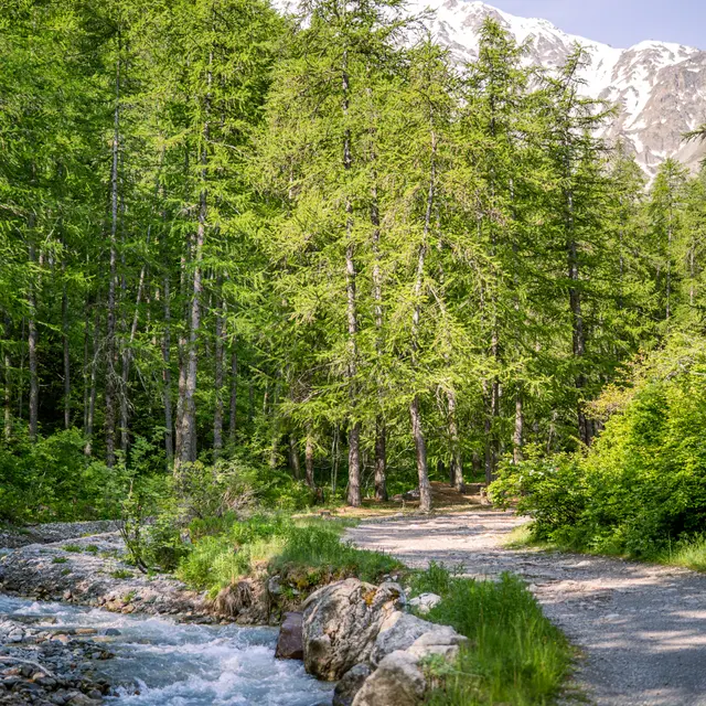 Exposition temporaire du Parc national des Ecrins_Briançon
