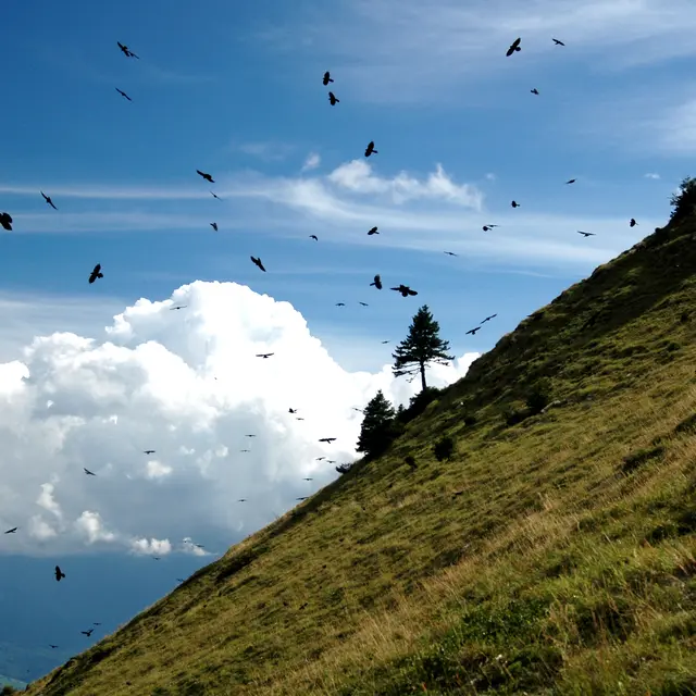 Col du Coq