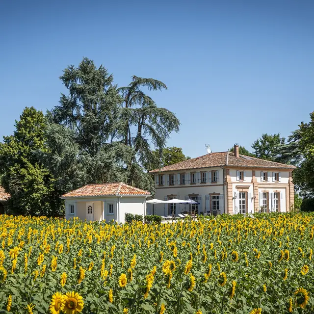 Domaine de la Terrasse Le Gite Lacourt St Pierre