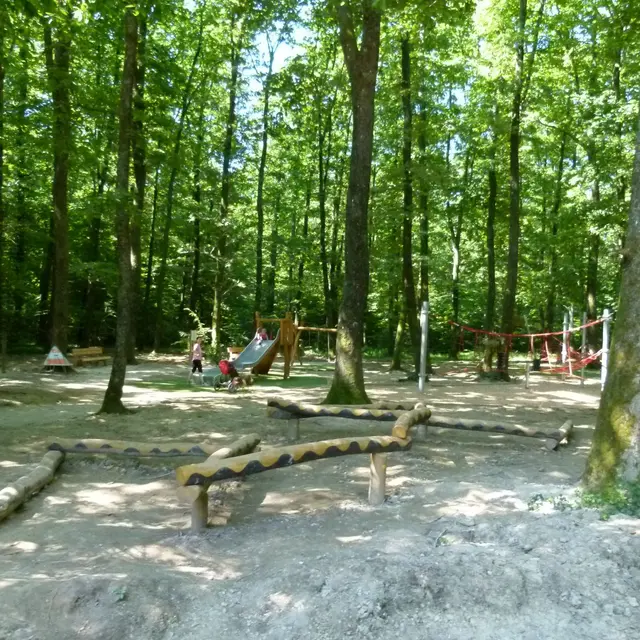 Balade et parcours d'activités en forêt de Seillon_Péronnas