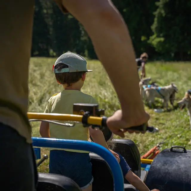 Mushing'EXPERIENCE_Champéry