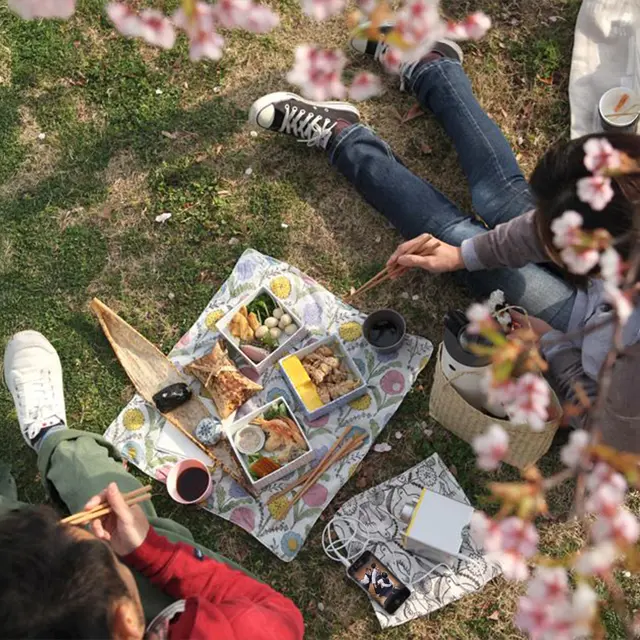 Après-midi Hanami_Bormes-les-Mimosas