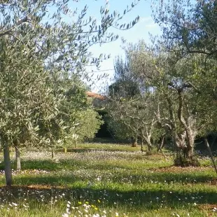 Visites de la passion en Pays de Fayence