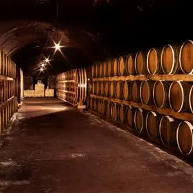 Domaine Clos Val Seille