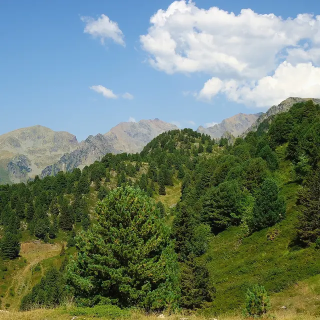 Cyclo en Belledonne