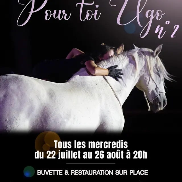 Spectacle équestre Pour toi Ugo_Tarascon