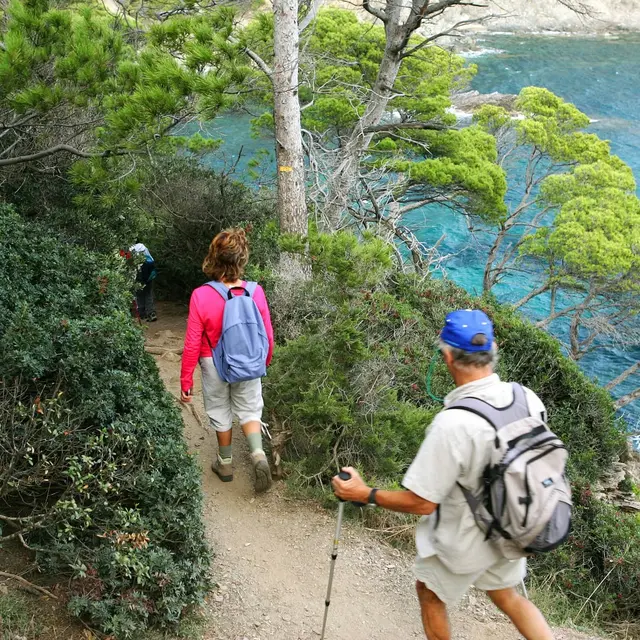 Porquerolles hors des sentiers battus