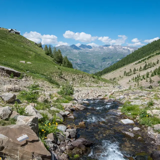 Le torrent d'Archinard