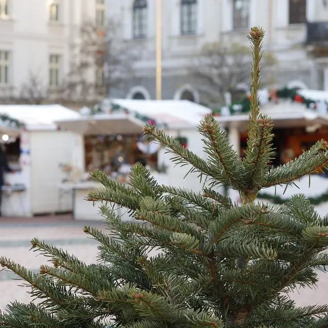 Marché de Noël_Sorgues