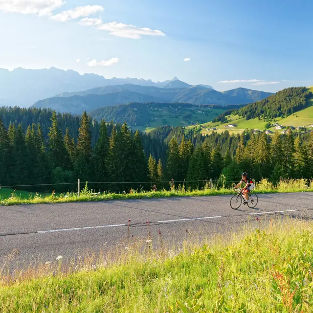 Col des Saisies