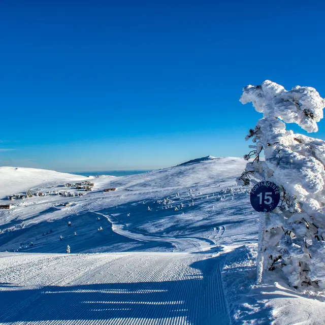 journée spéciale dédiée aux adultes débutants en ski_Ascou