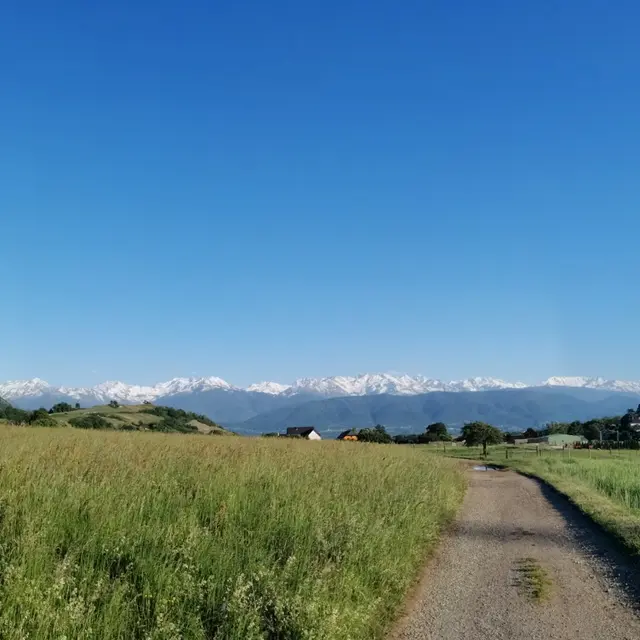 Boucle du marais des Noux