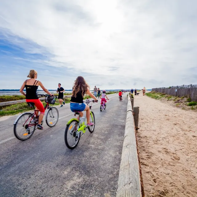 Locabike Location VTT Hyères Giens