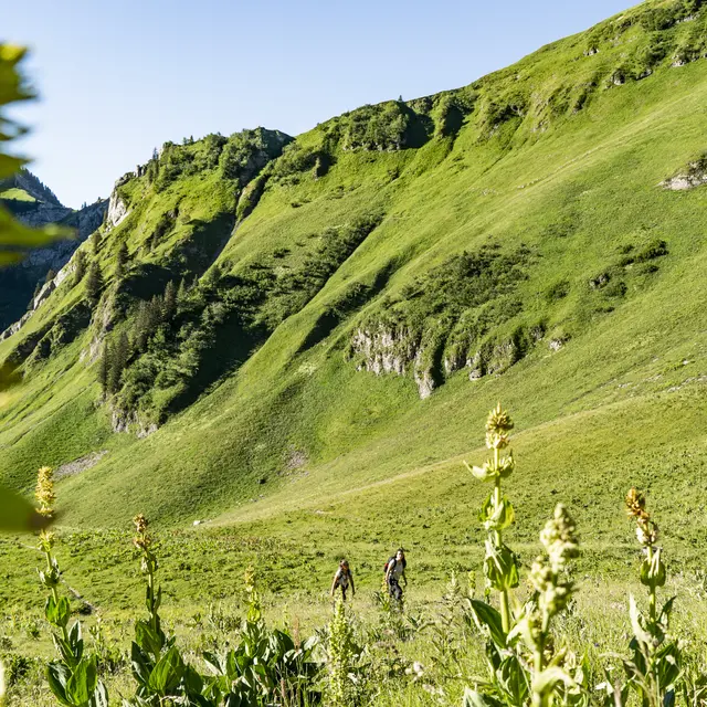 Randonnée en Montagne