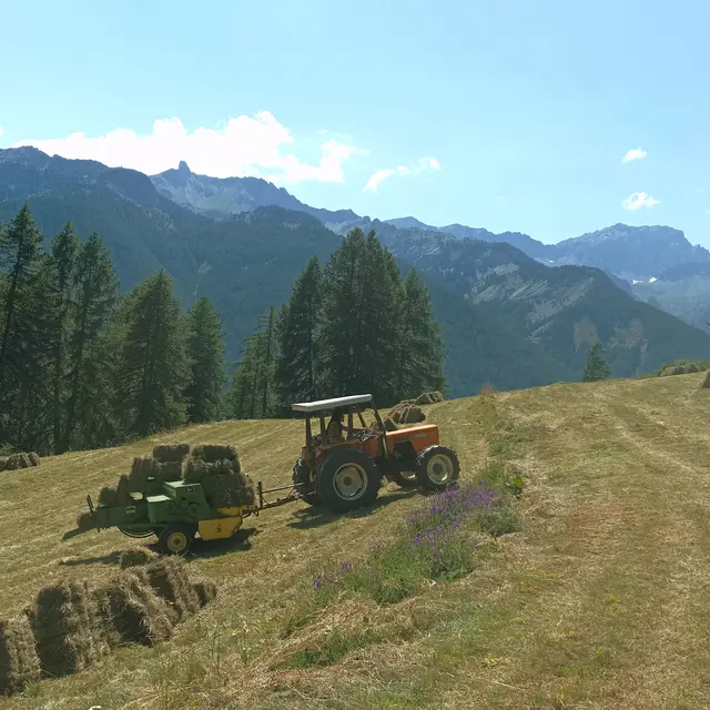 La ferme des Moulins_Arvieux
