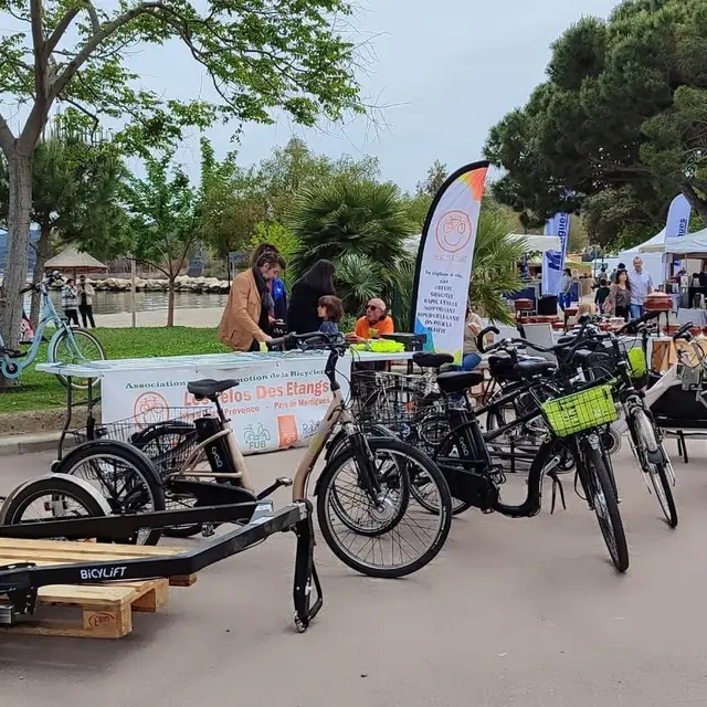 Le beau printemps_Martigues