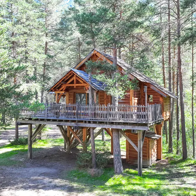 Cabane dans les arbres