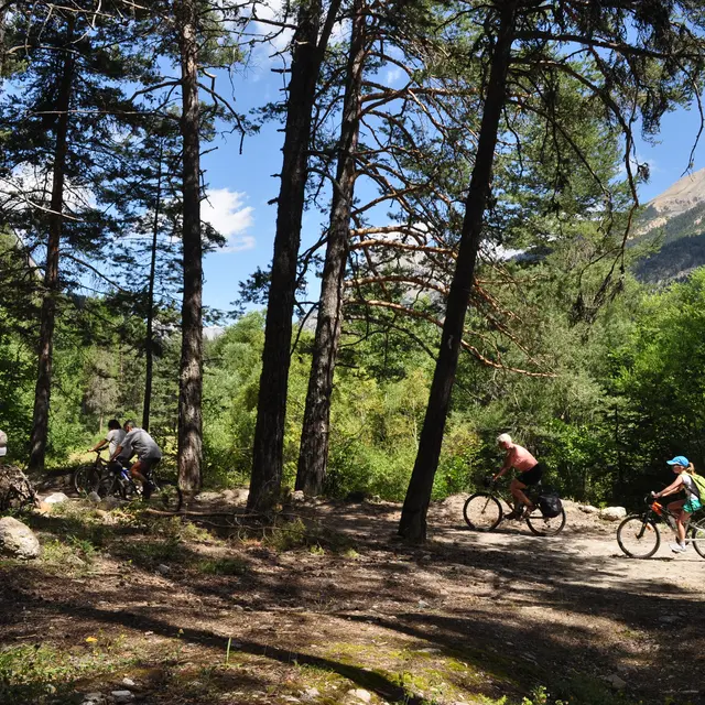 Balade en VTT dans les bois - Clarée