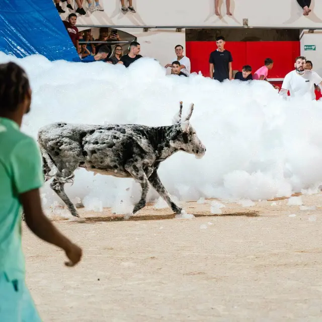 Toro mousse