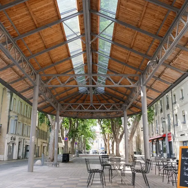 La petite Italie dans la cite des Papes_Avignon