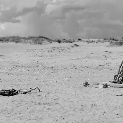 36 Cabanes - Expositions, ateliers et lecture musicale