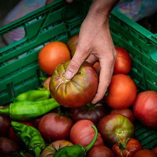 La Ferme aux Gus_Avignon