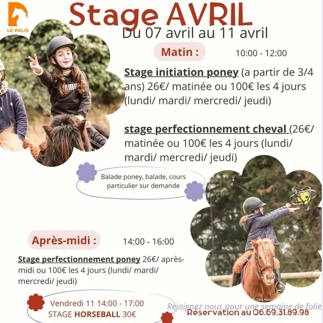 Stages de poney et cheval au mois d'avril - Centre équestre 'Le Palis'_Vaison-la-Romaine